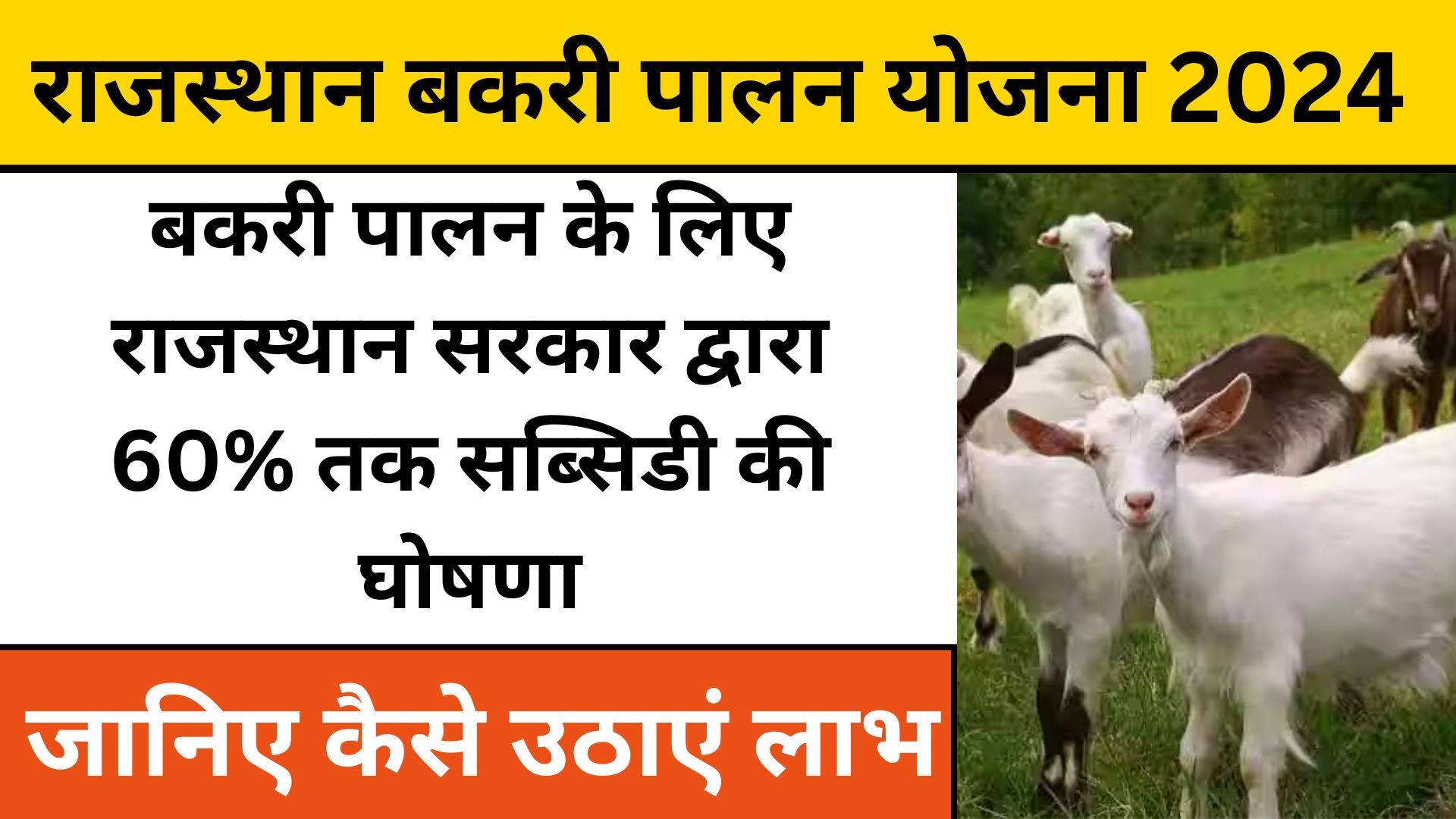 Rajasthan Bakri Palan Yojana 2024